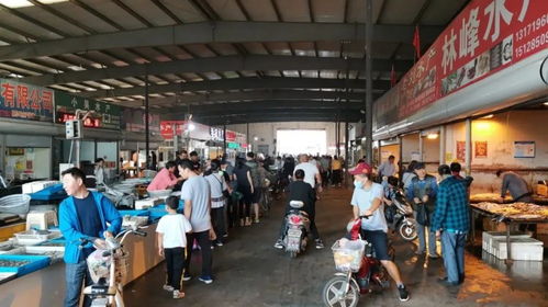 太漂亮了 一起來(lái)看海陽(yáng)農(nóng)副產(chǎn)品批發(fā)市場(chǎng)的新家