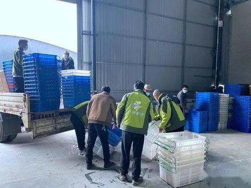 喜訊 全市目前規(guī)模最大 貨品最齊全 交通最便捷的農(nóng)特產(chǎn)品批發(fā)市場(chǎng)開(kāi)門營(yíng)業(yè)